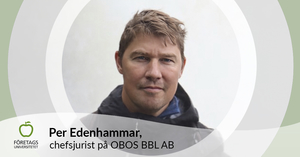 Referens Dataanalys och BI