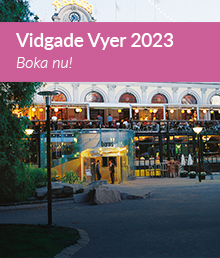Vidgade Vyer