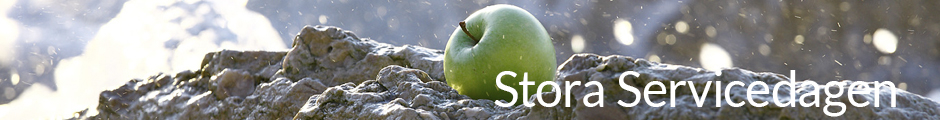Stora Servicedagen