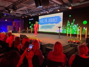 vv karin kul på jobbet