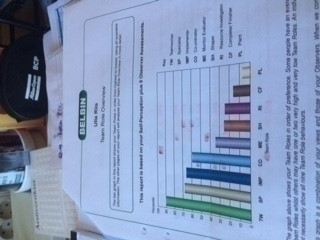 Belbin2