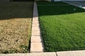 green_and_green